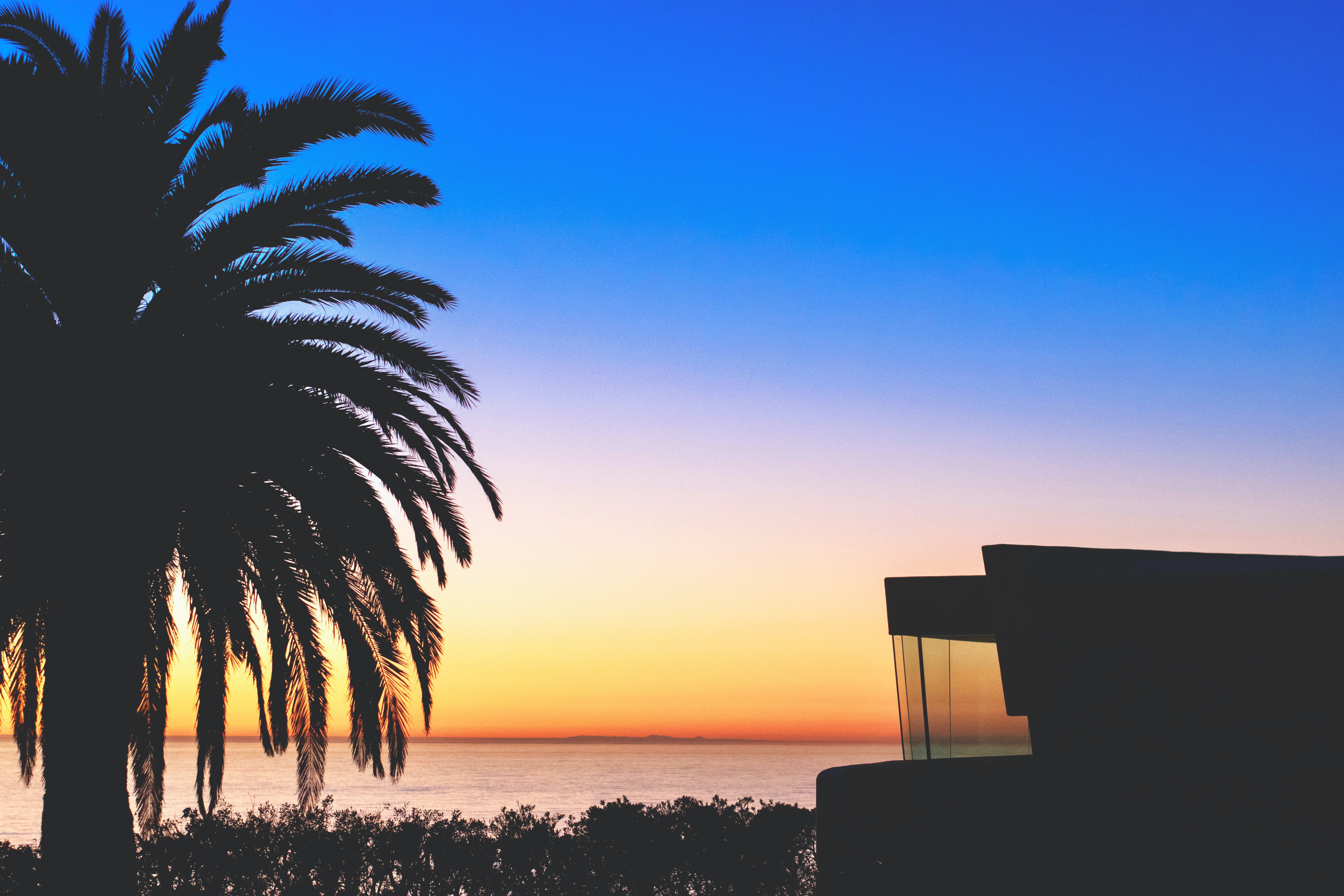 Silhouette of a modern house and a palm tree overlooking the sun setting over the ocean.