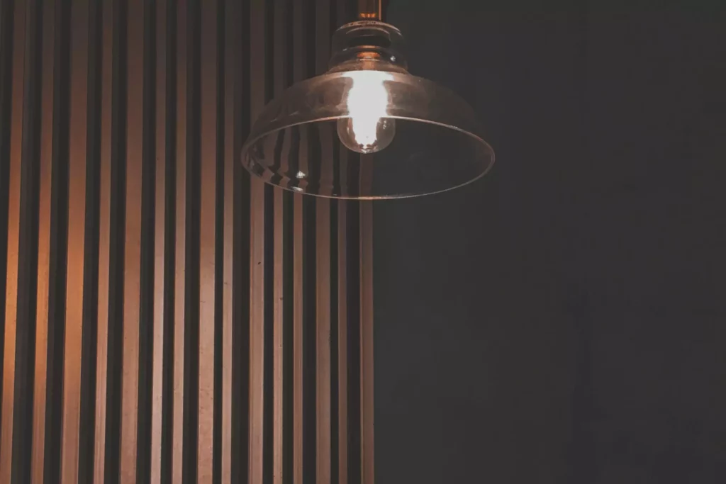 Modern, Hanging Light By Wood Panel
